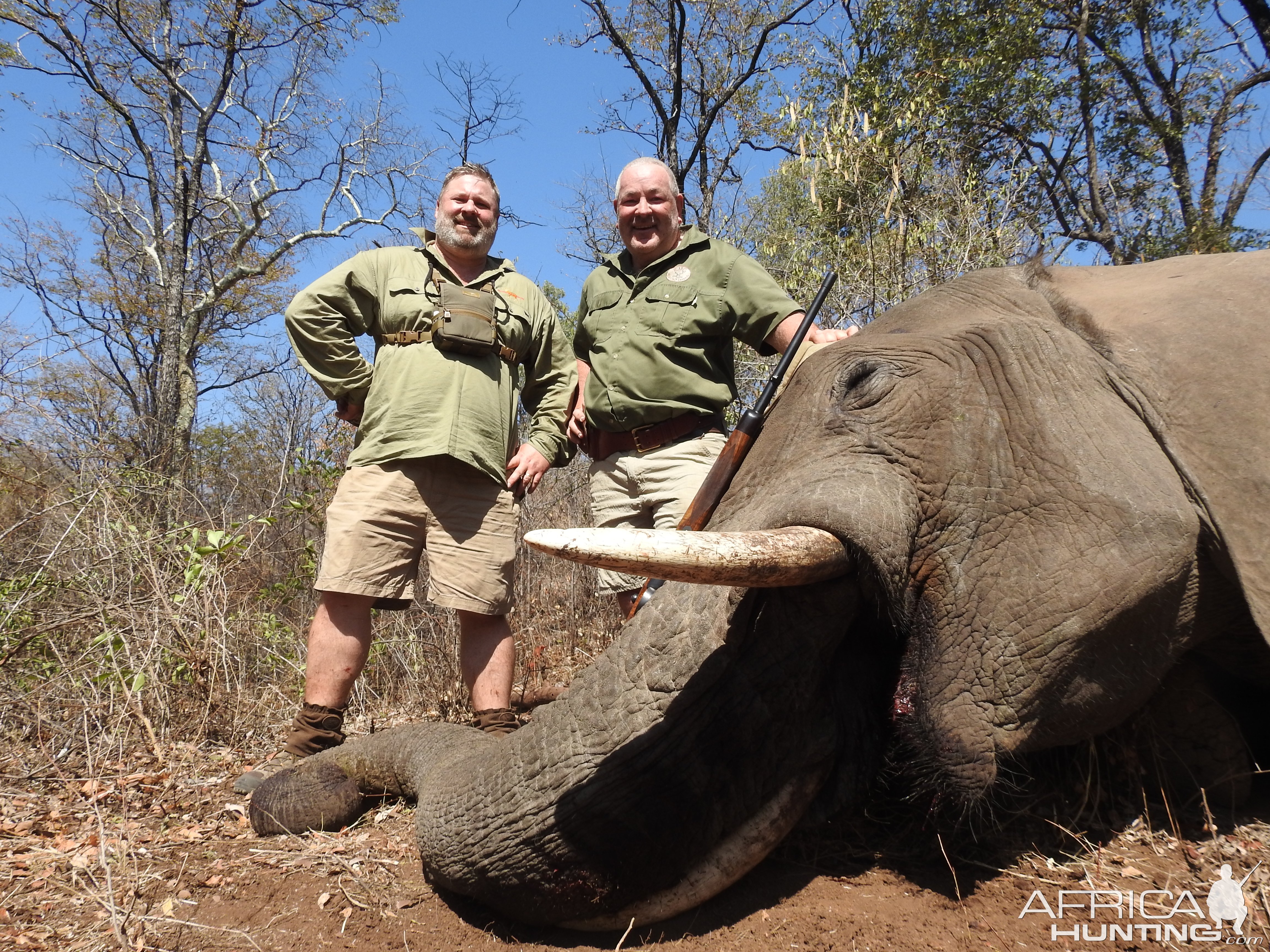 Elephant Hunt Zimbabwe