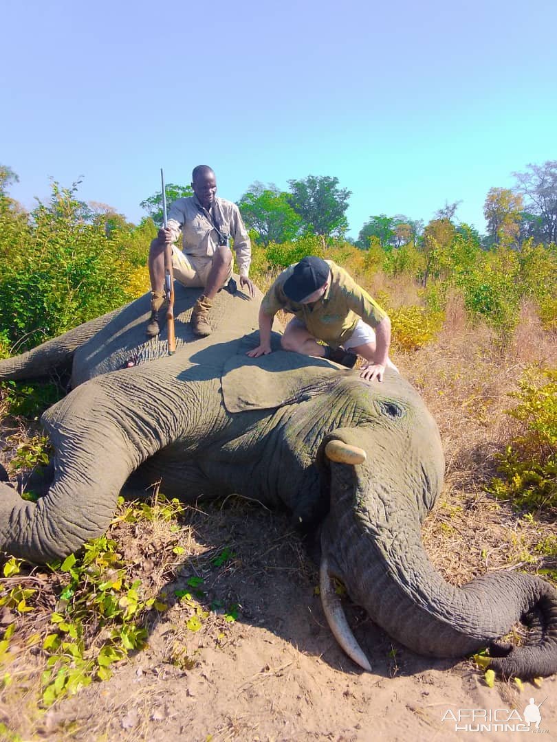 Elephant Hunt Zimbabwe