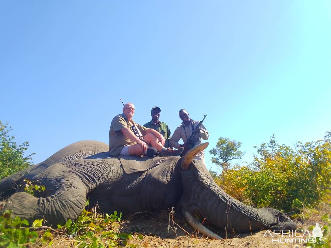 Elephant Hunt Zimbabwe