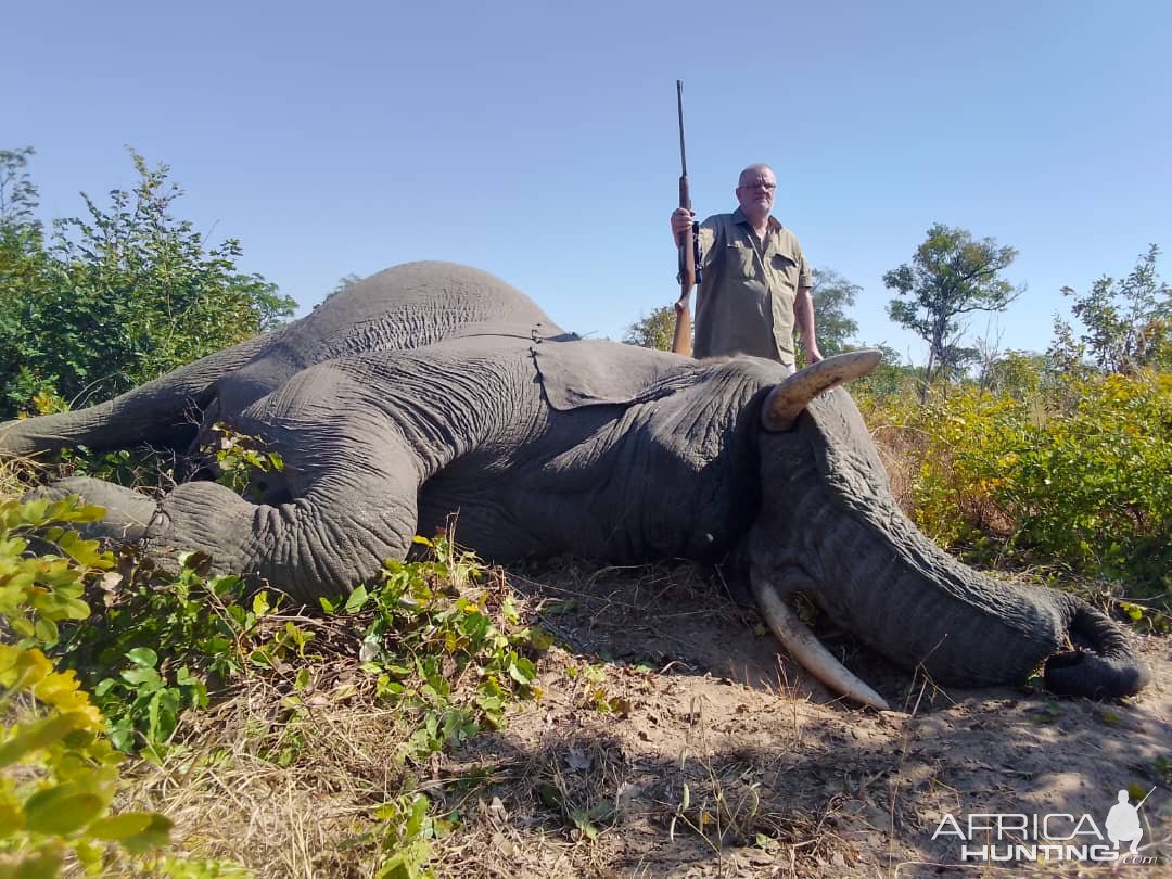 Elephant Hunt Zimbabwe