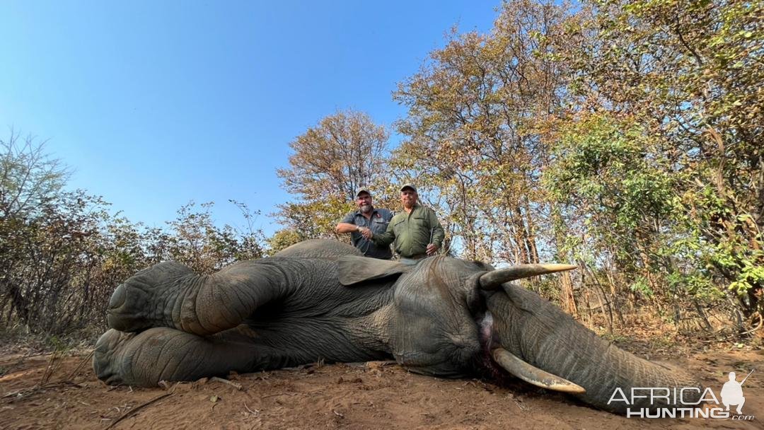 Elephant Hunt Zimbabwe