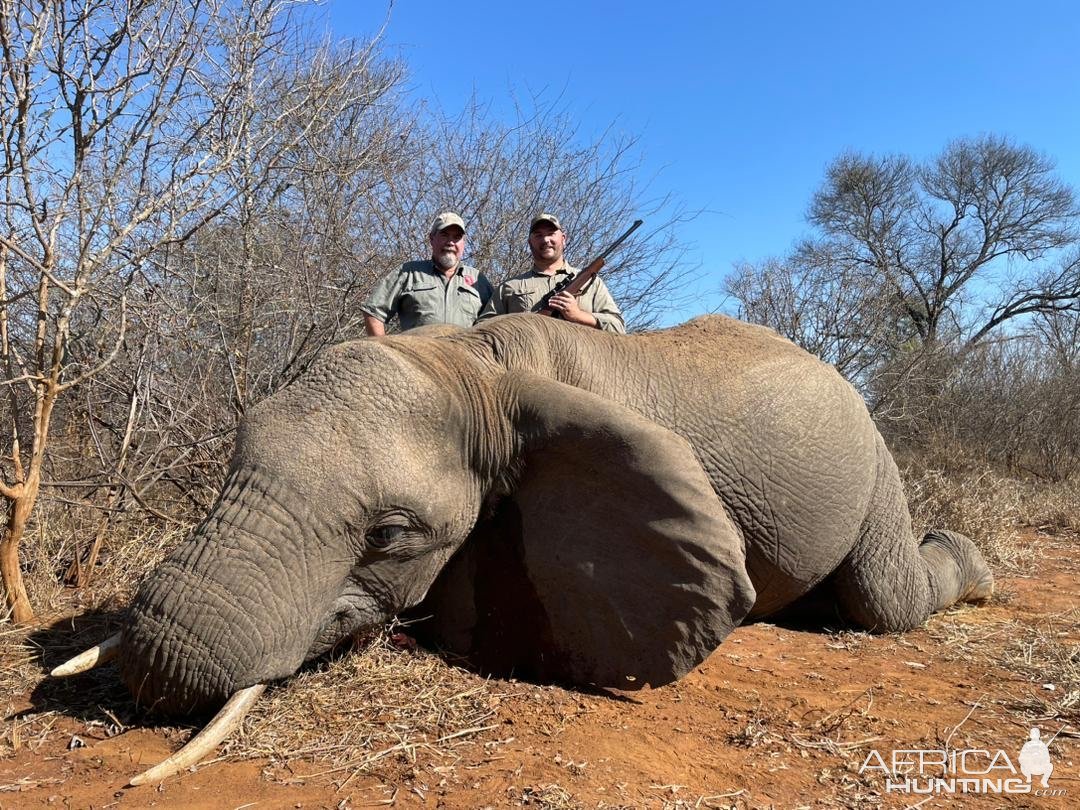 Elephant Hunt Zimbabwe