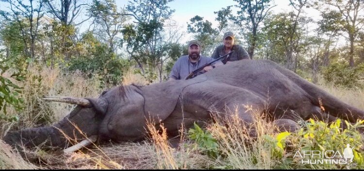 Elephant Hunt Zimbabwe