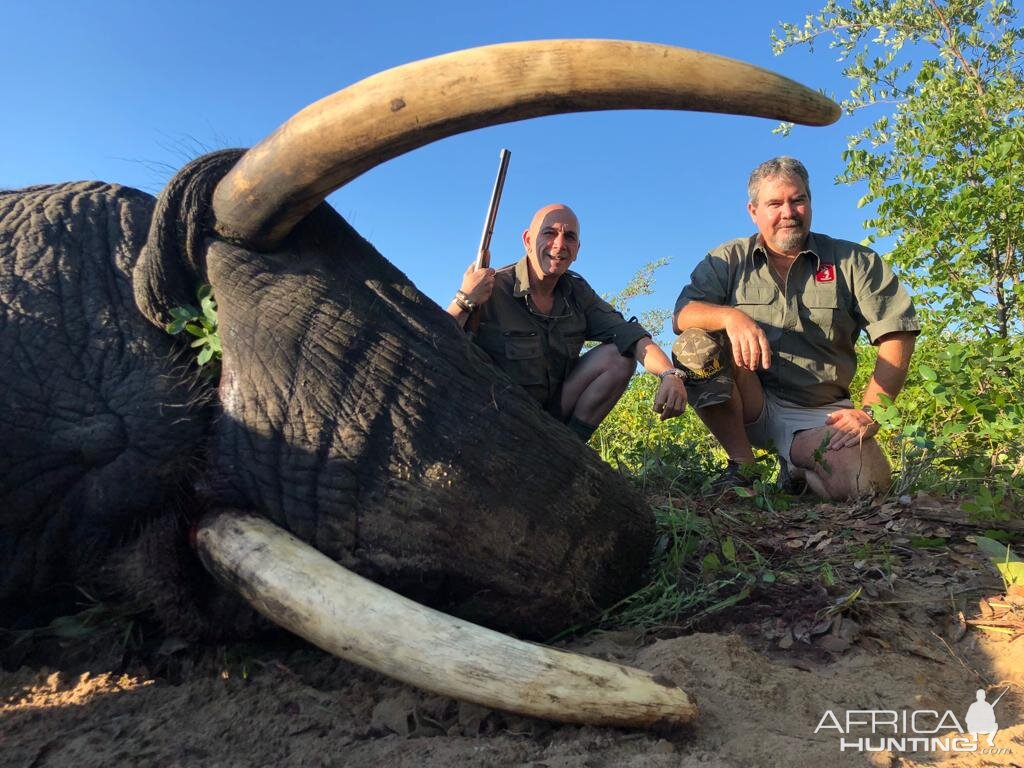 Elephant Hunt Zimbabwe