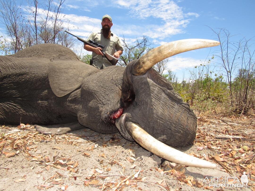 Elephant Hunt Zimbabwe