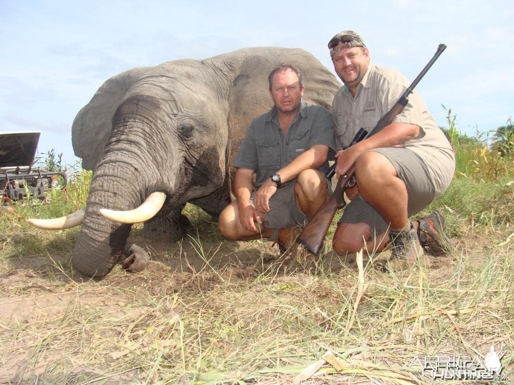 Elephant hunted with Hein Uys