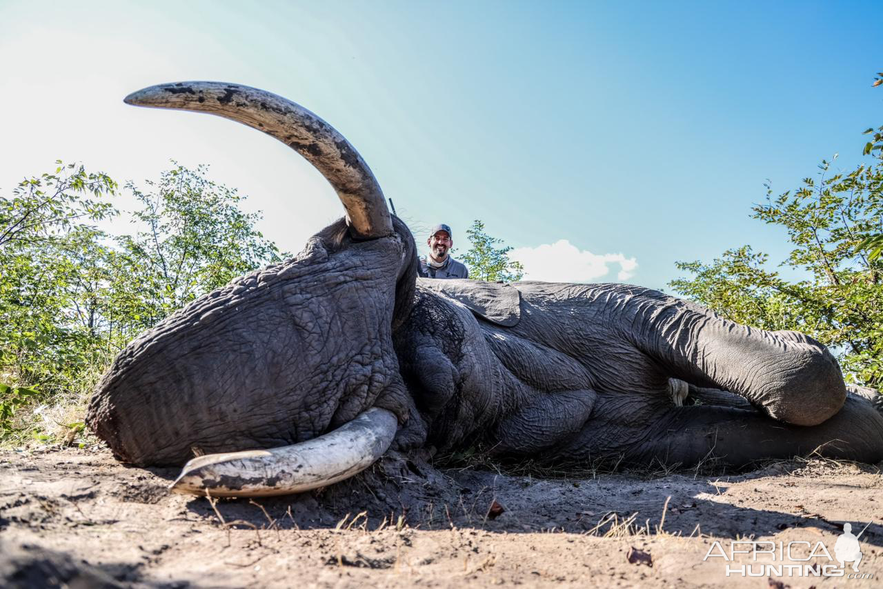 Elephant Hunting Botswana