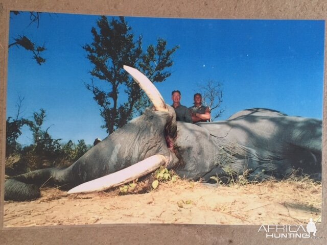 Elephant Hunting Botswana