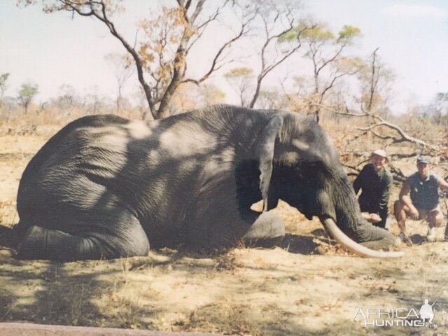 Elephant Hunting Botswana