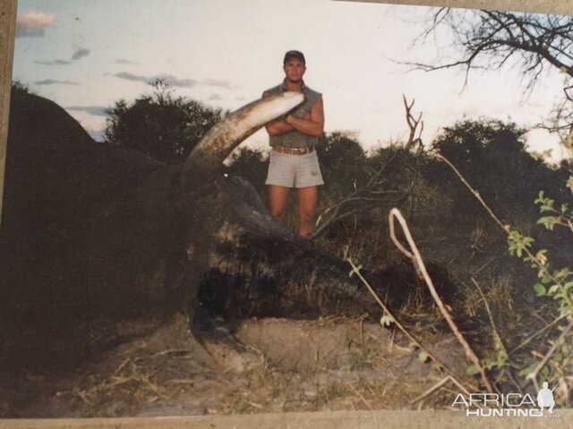 Elephant Hunting Botswana