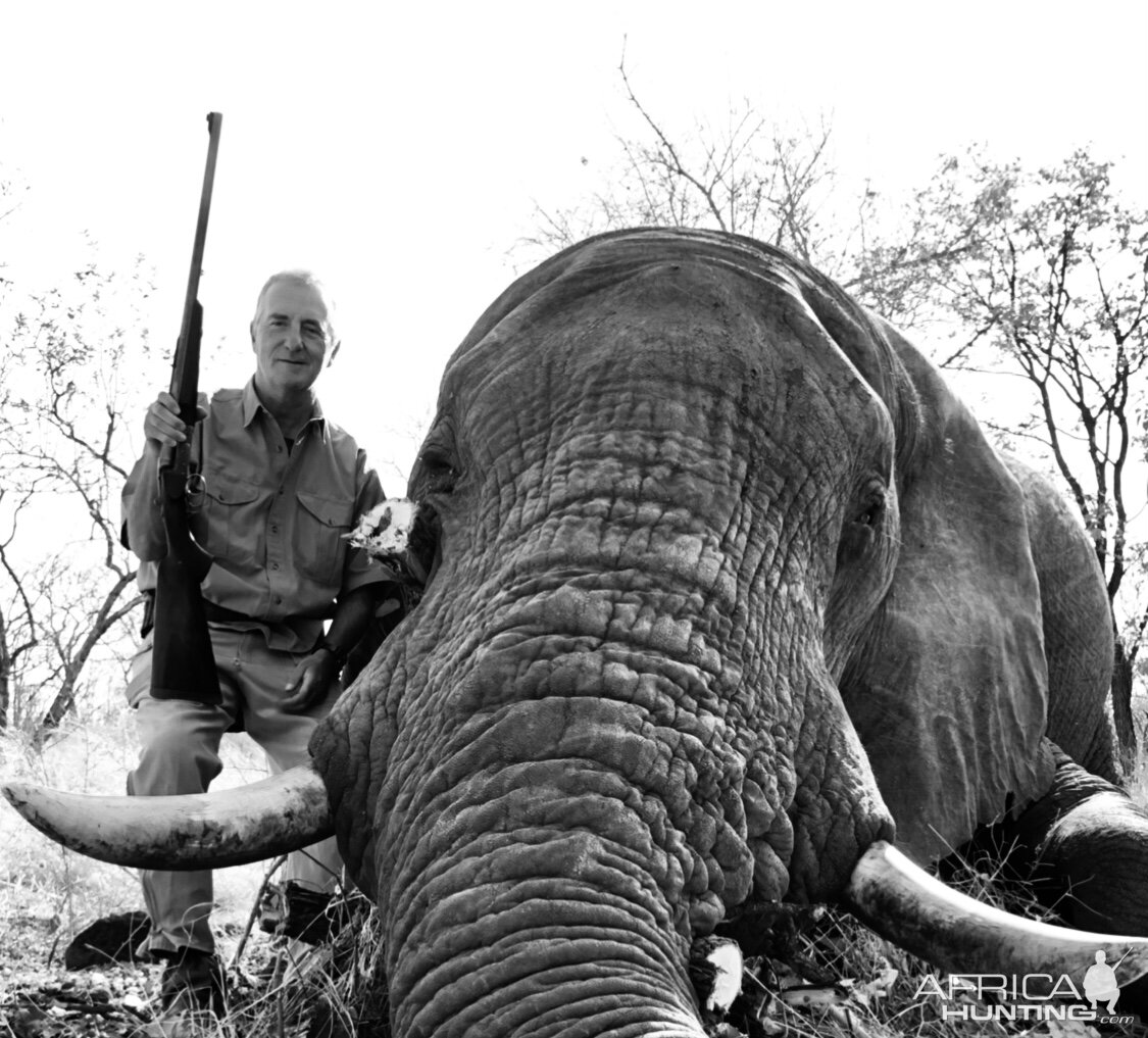 Elephant Hunting Matetsi Zimbabwe