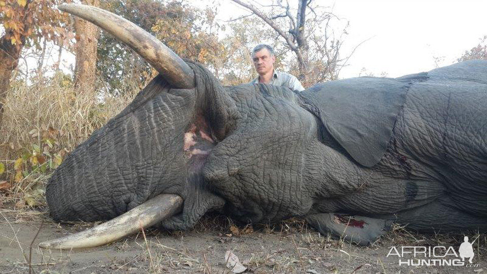 Elephant Hunting Mozambique