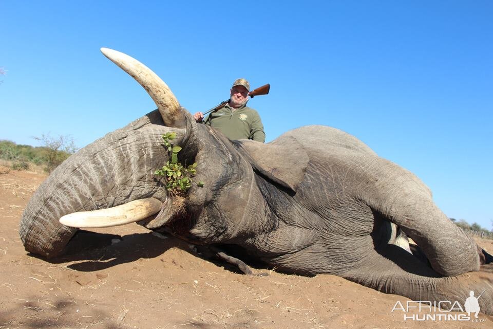 Elephant Hunting Namibia