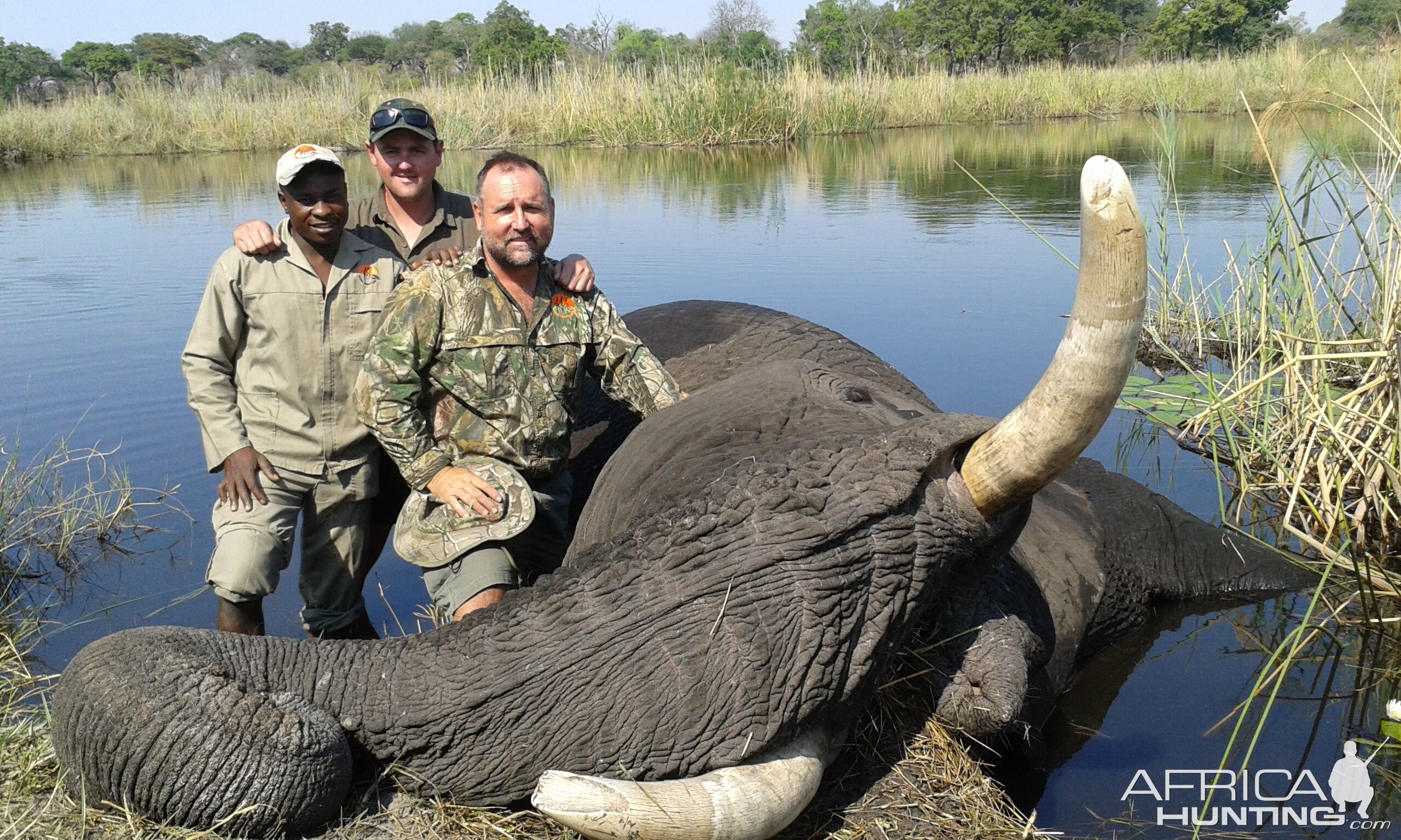 Elephant Hunting Namibia