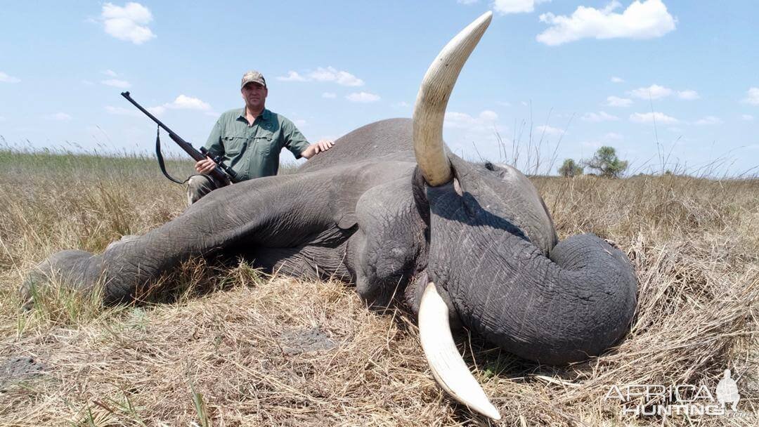 Elephant Hunting Namibia