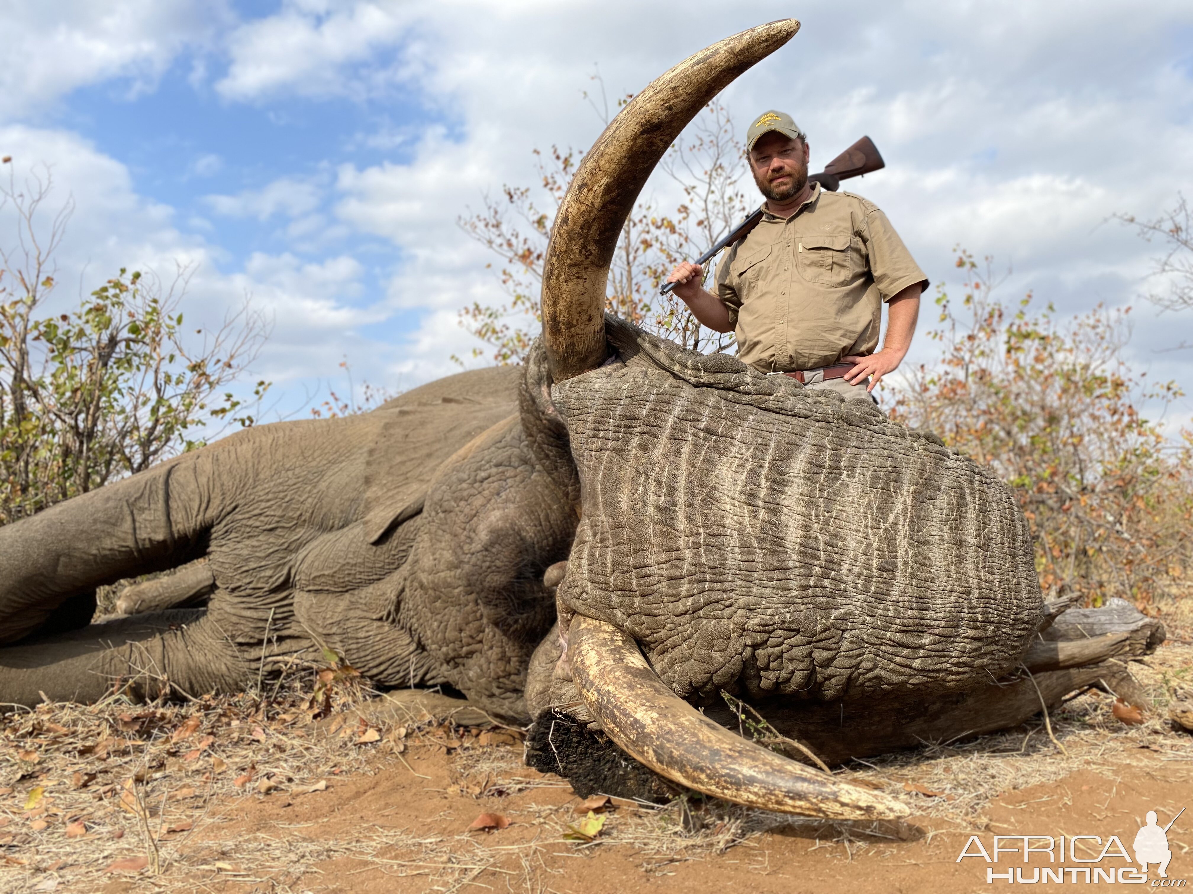 Elephant Hunting South Africa