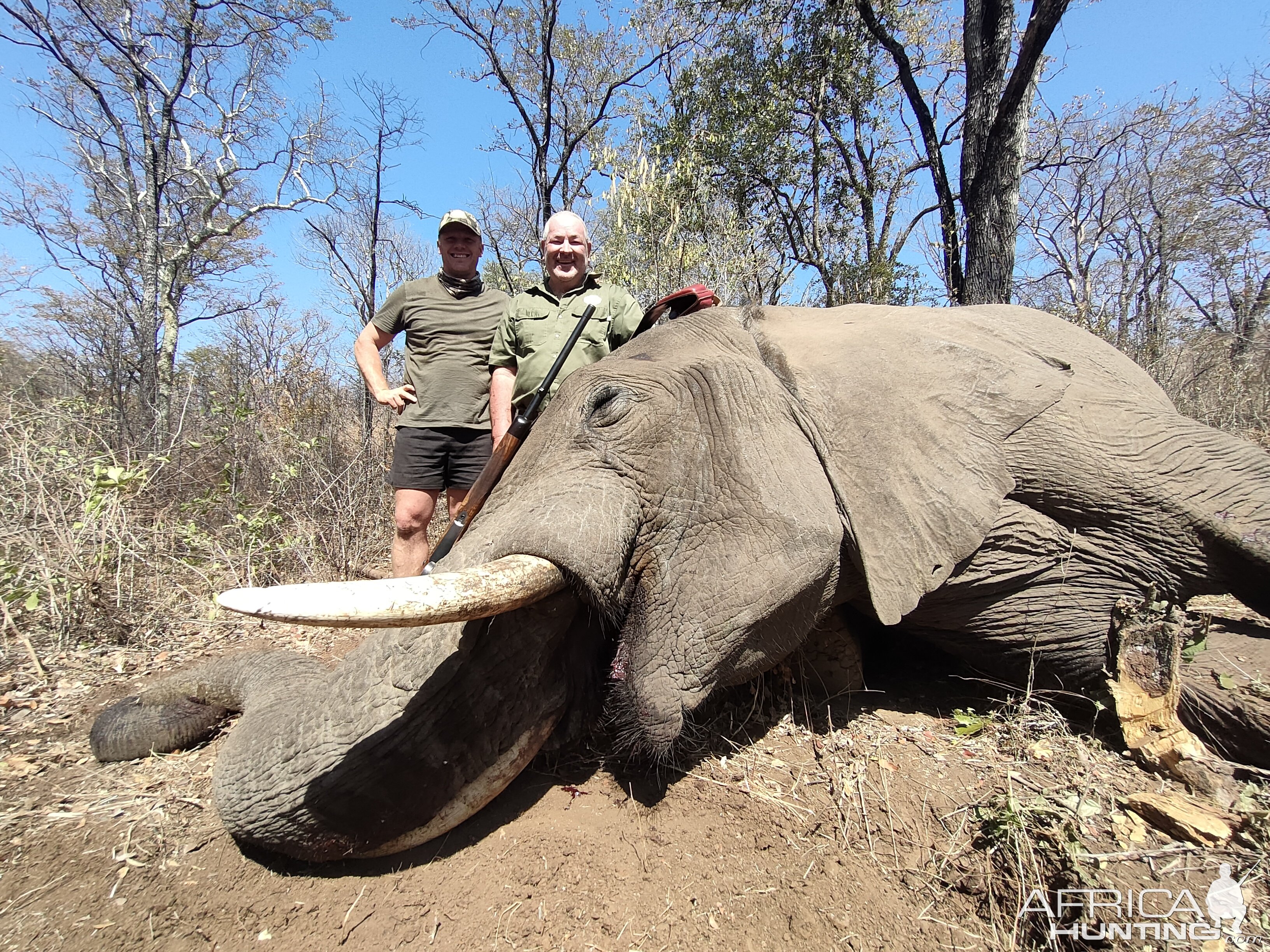 Elephant Hunting South Africa