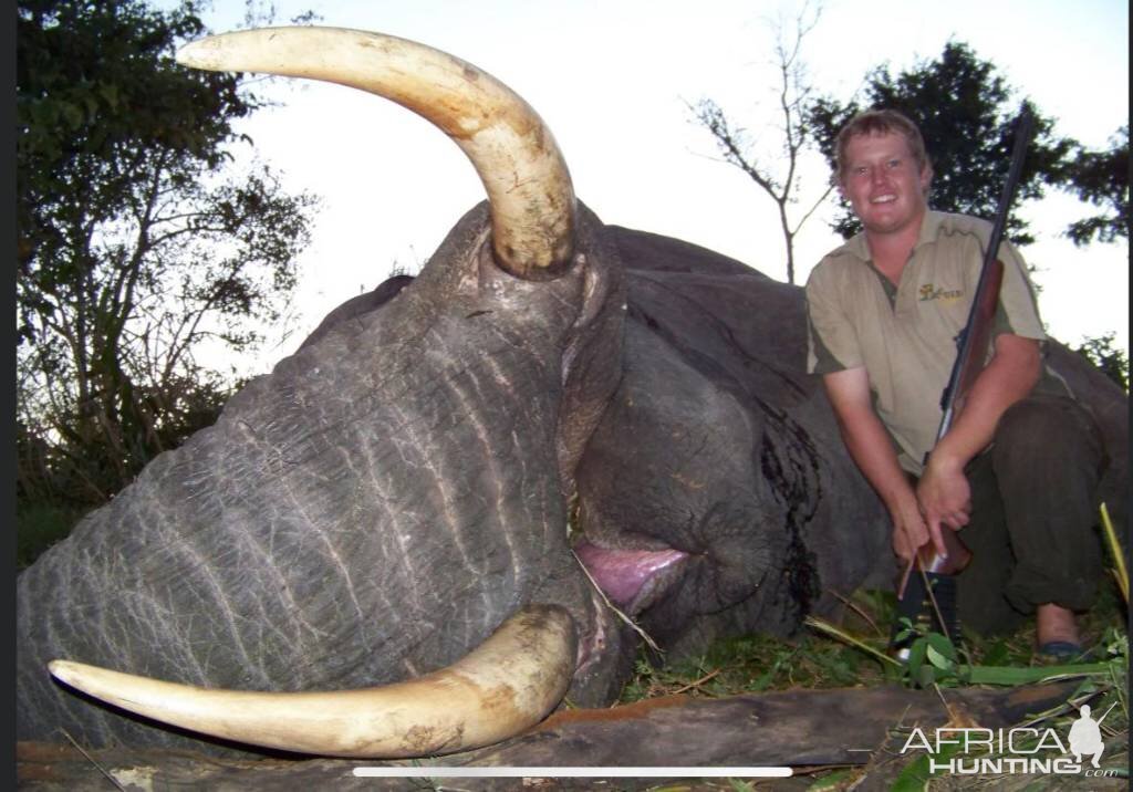 Elephant Hunting South Africa