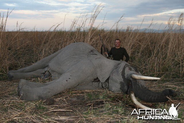 Elephant Hunting Tanzania