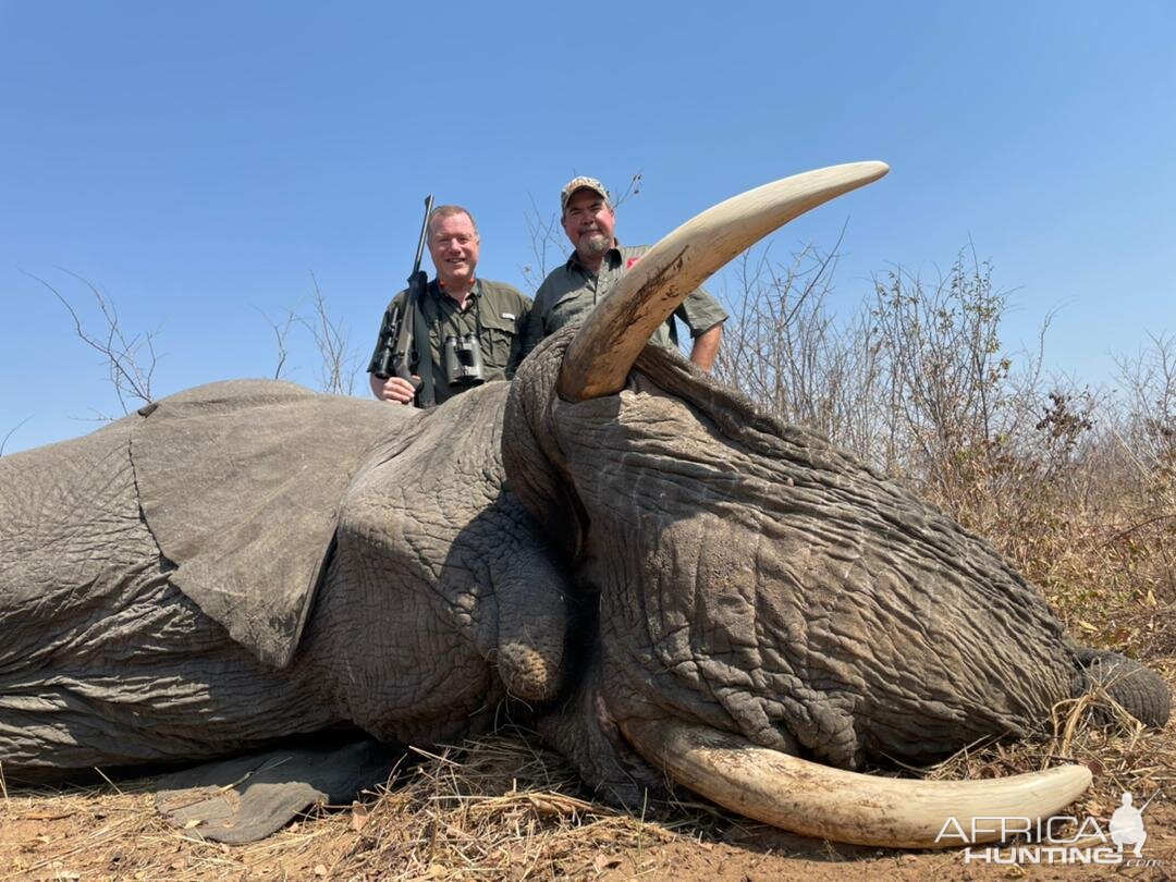 Elephant Hunting Zimbabwe