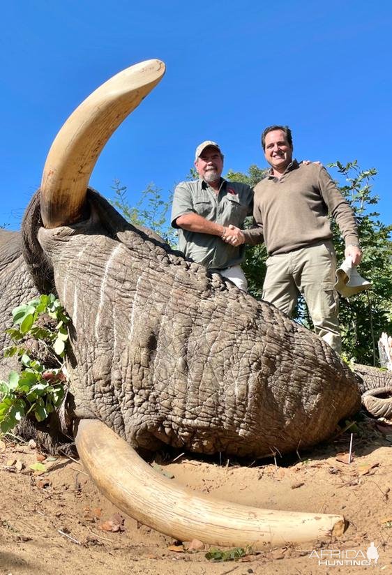 Elephant Hunting Zimbabwe