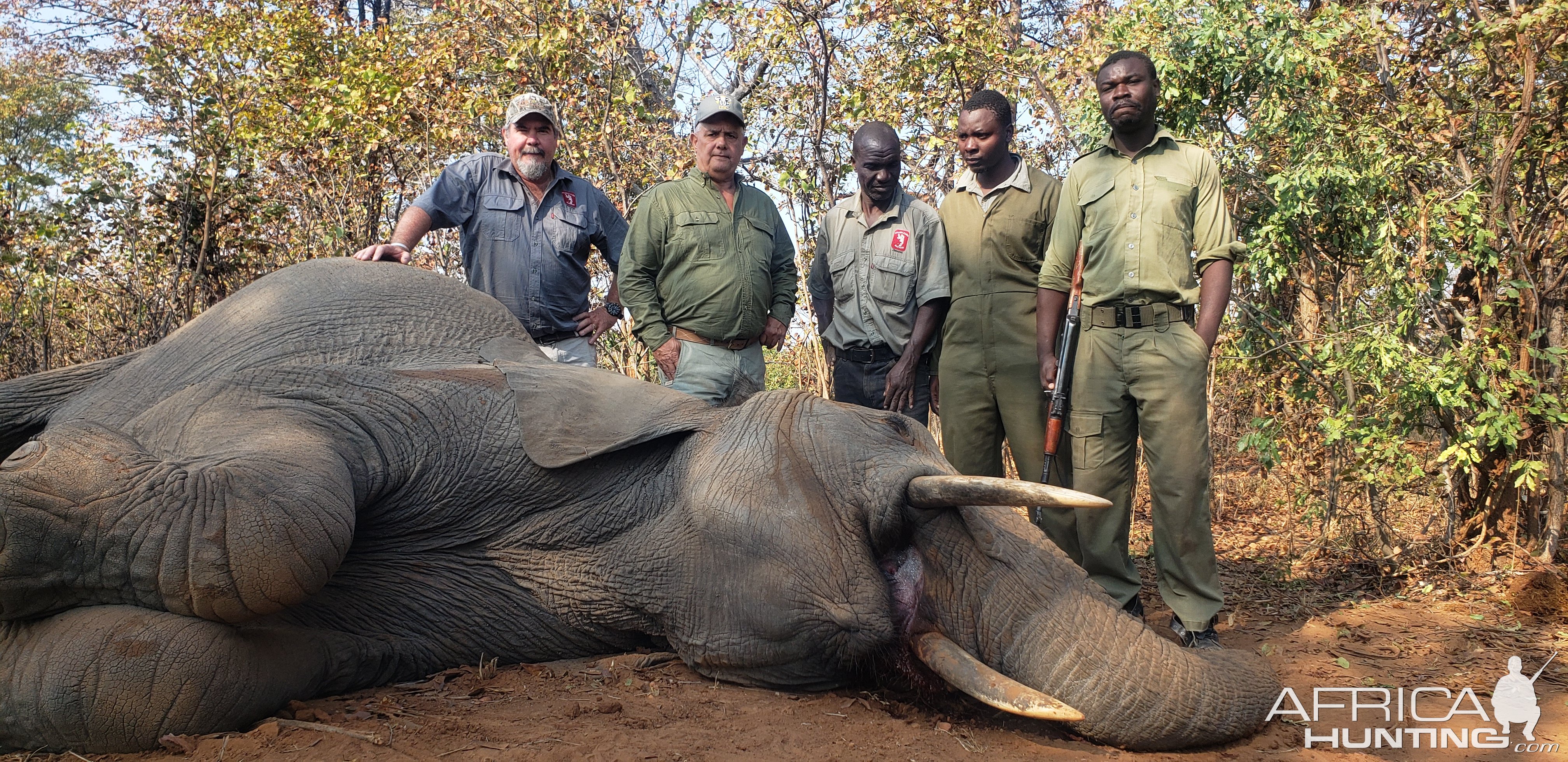 Elephant Hunting Zimbabwe