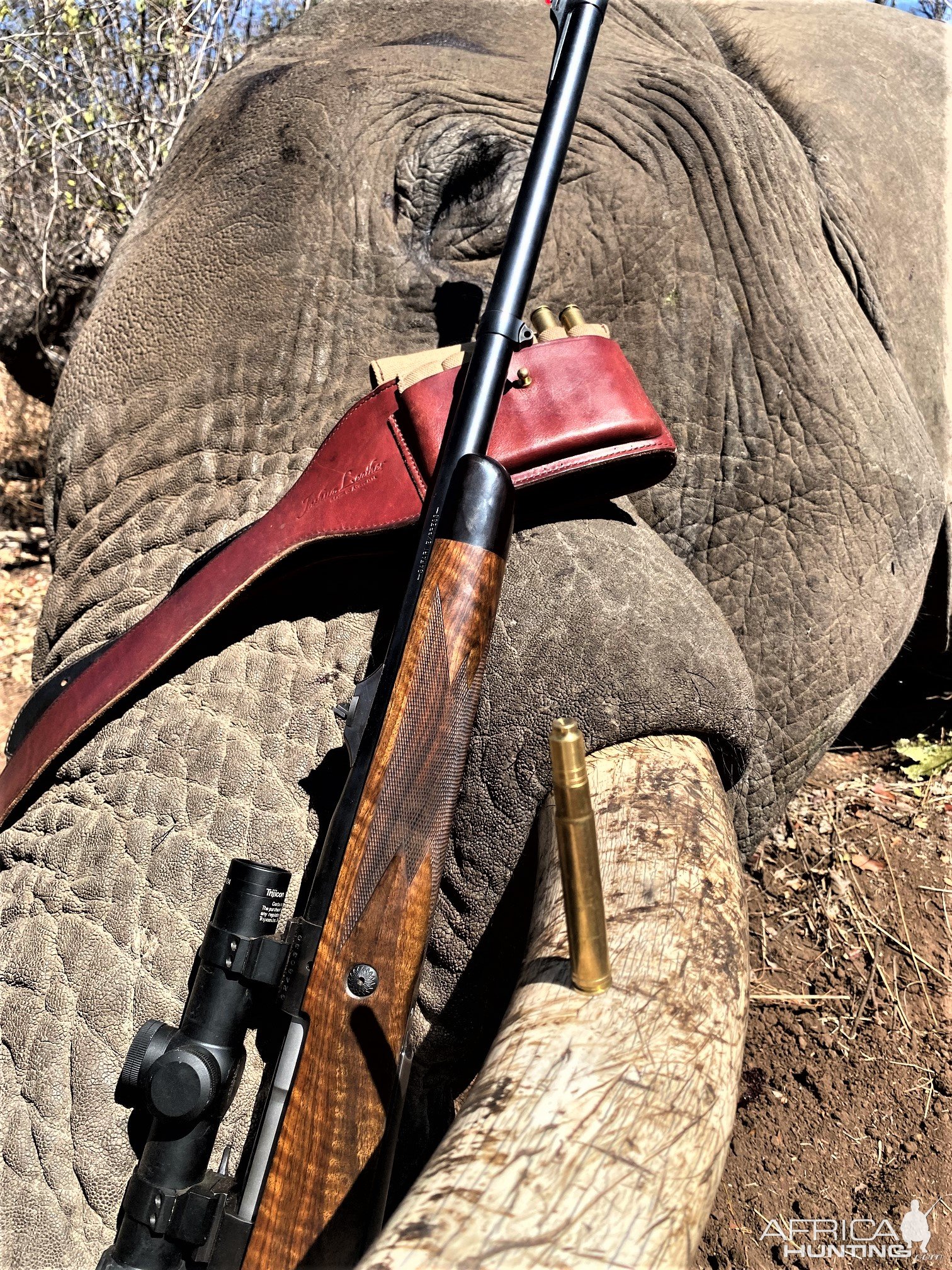 Elephant Hunting Zimbabwe