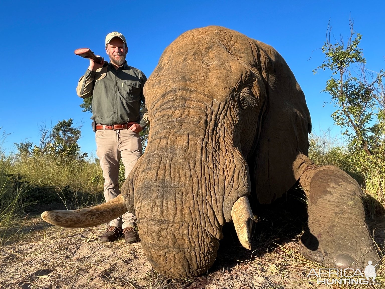 Elephant Hunting Zimbabwe