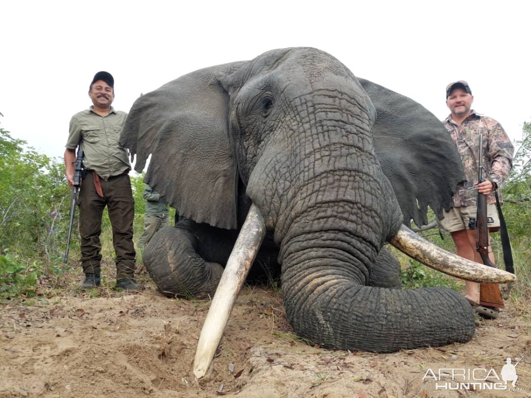 Elephant Hunting Zimbabwe