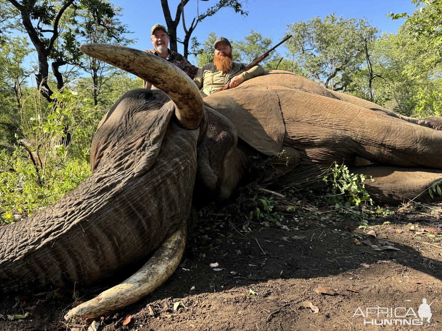 Elephant Hunting Zimbabwe