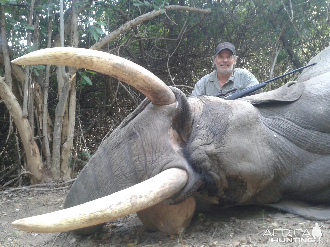 Elephant Hunting Zimbabwe