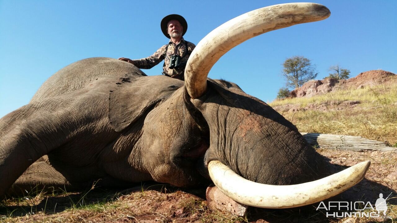 Elephant Hunting Zimbabwe