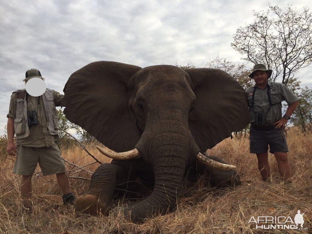 Elephant Hunting Zimbabwe