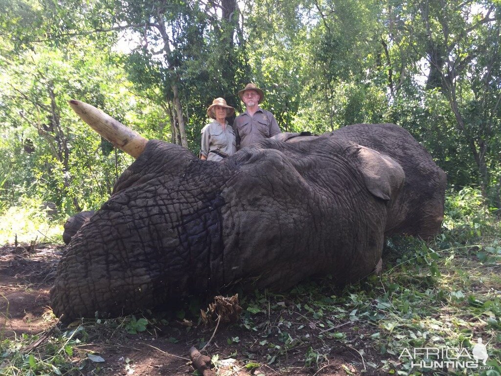 Elephant Hunting Zimbabwe