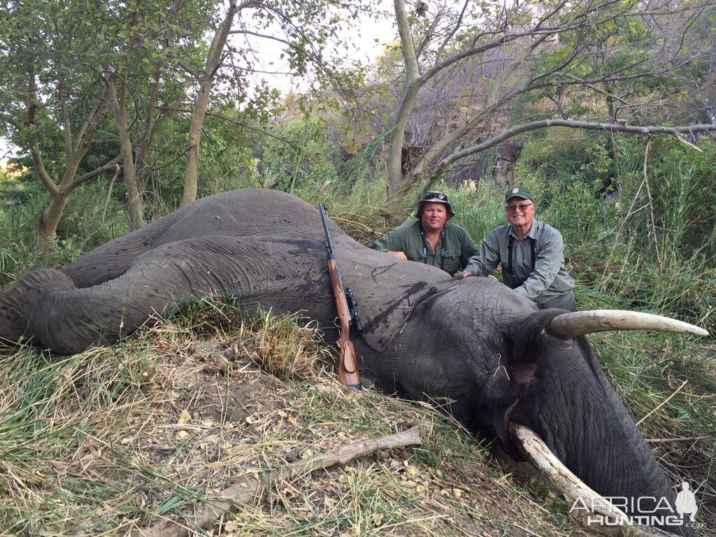 Elephant Hunting Zimbabwe