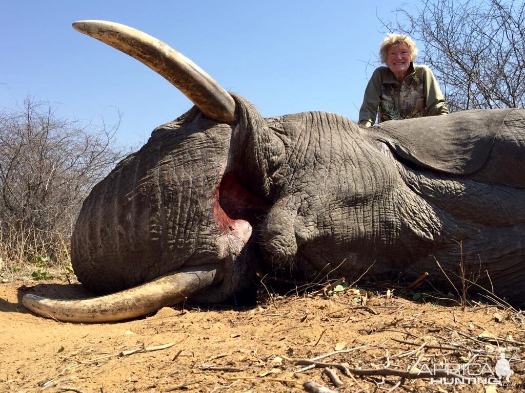 Elephant Hunting Zimbabwe