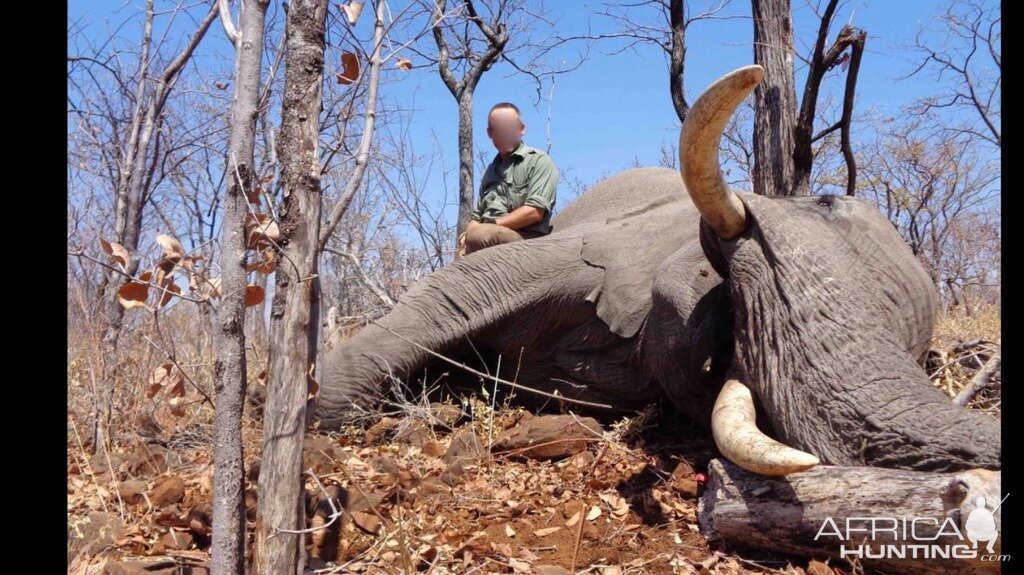 Elephant Hunting Zimbabwe