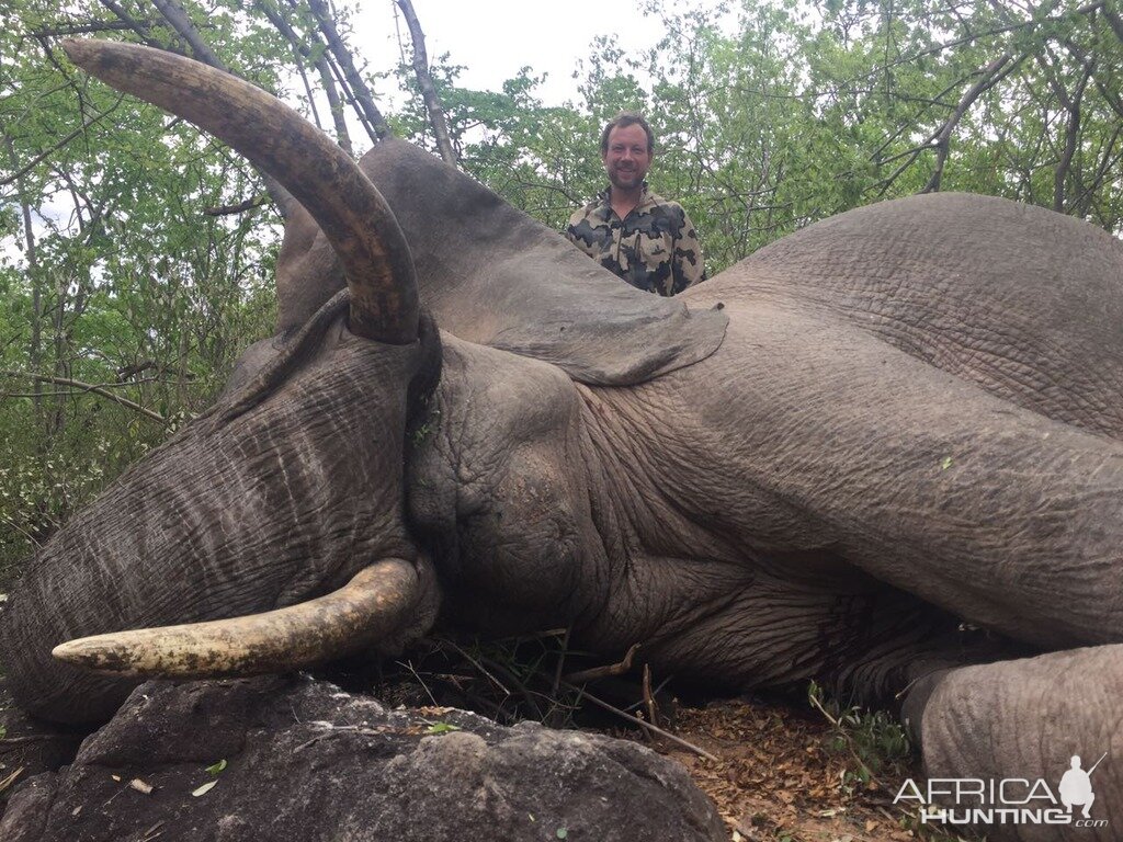 Elephant Hunting Zimbabwe