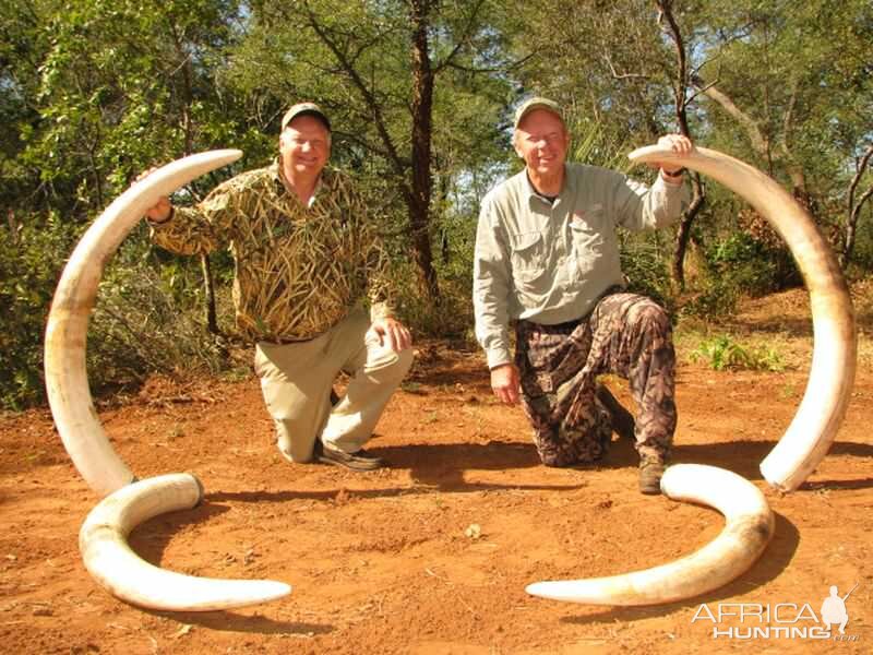 Elephant Hunting Zimbabwe