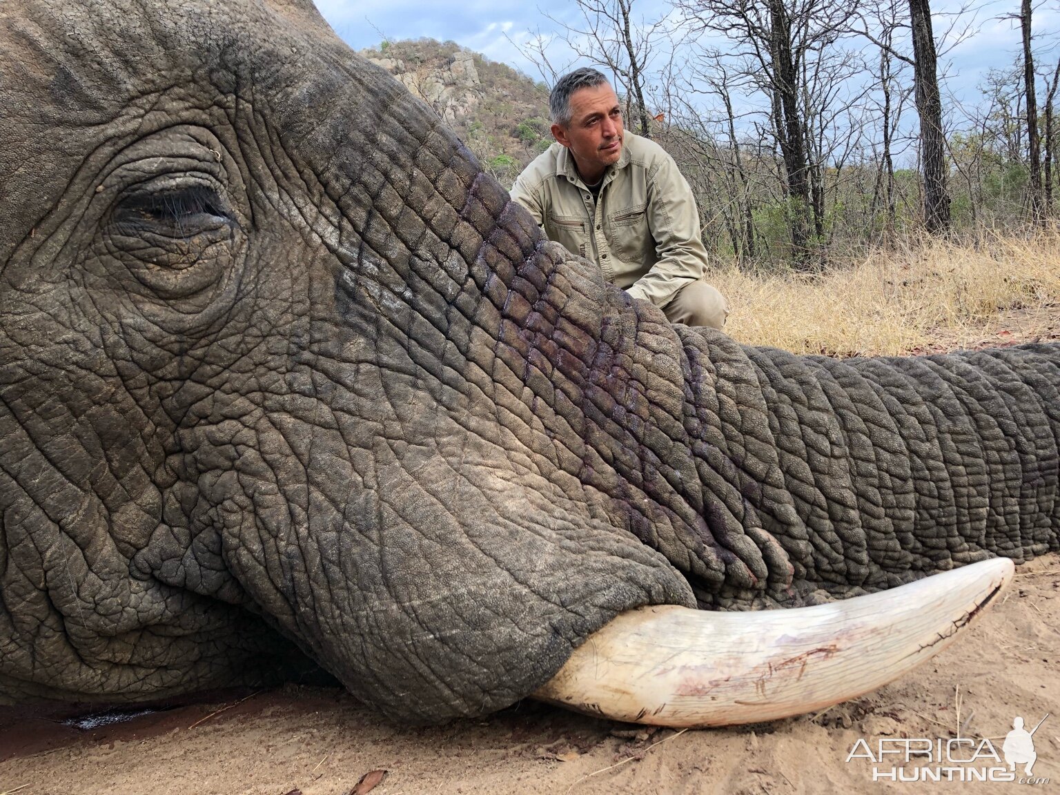 Elephant Hunting Zimbabwe