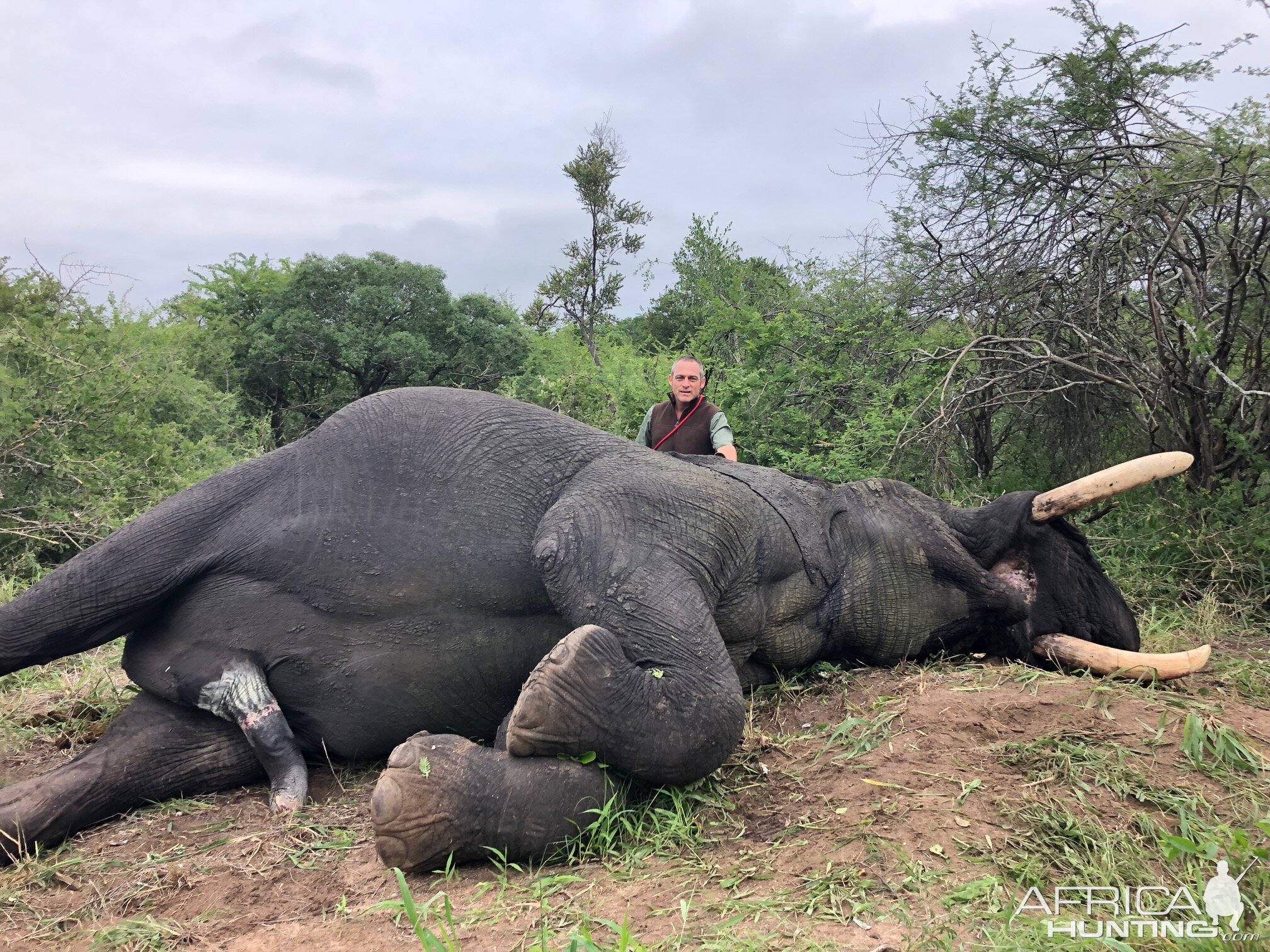 Elephant Hunting Zimbabwe