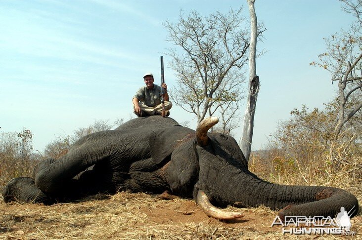 Elephant Hunting