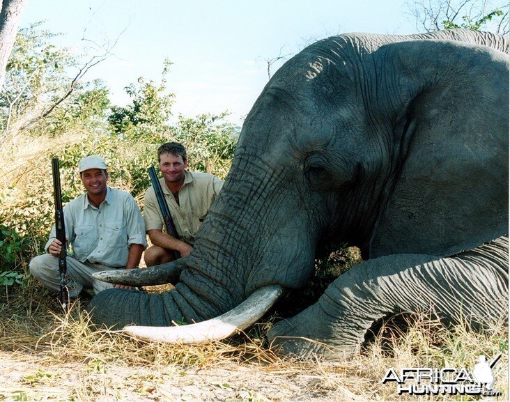 Elephant Hunting