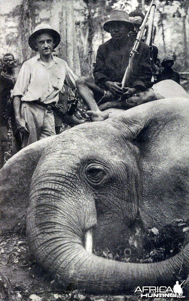 Elephant Hunting