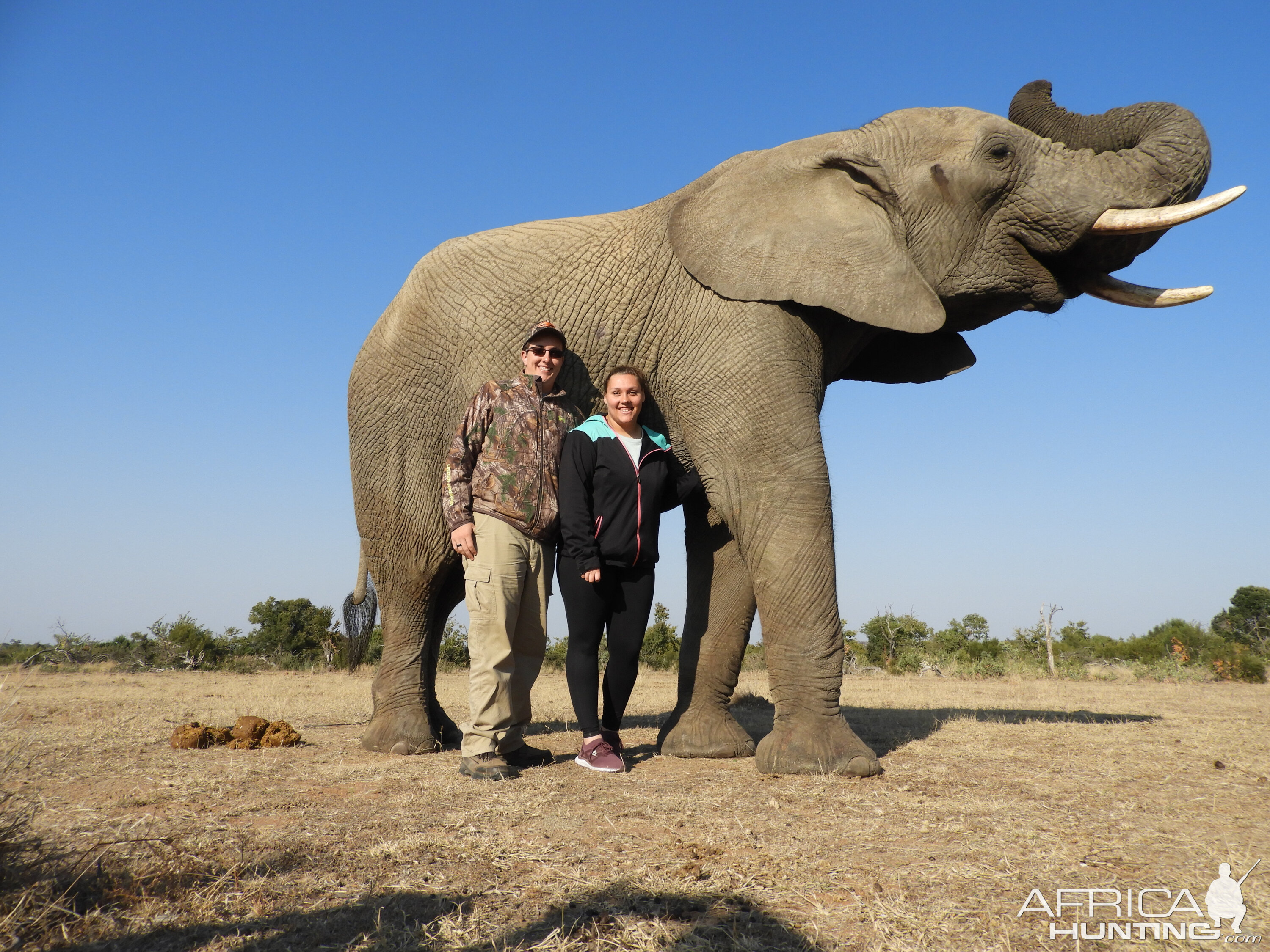 Elephant interaction in South Africa