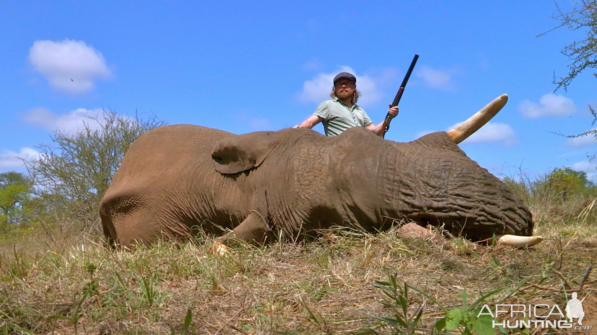 Elephant ~ Limpopo, South Africa