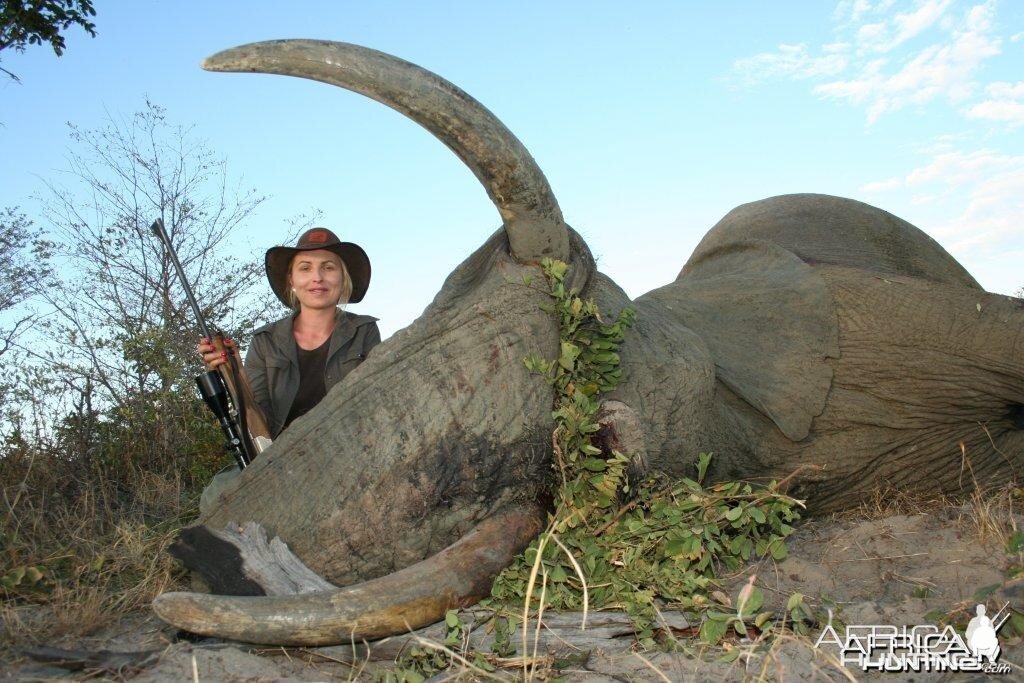 Elephant Namibia