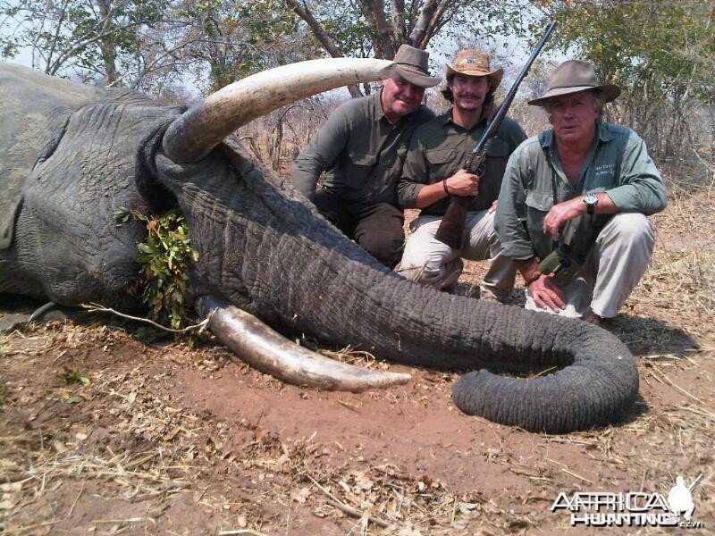 Elephant Namibia