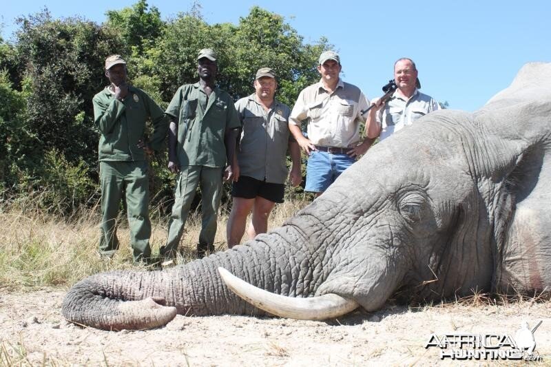 Elephant Namibia