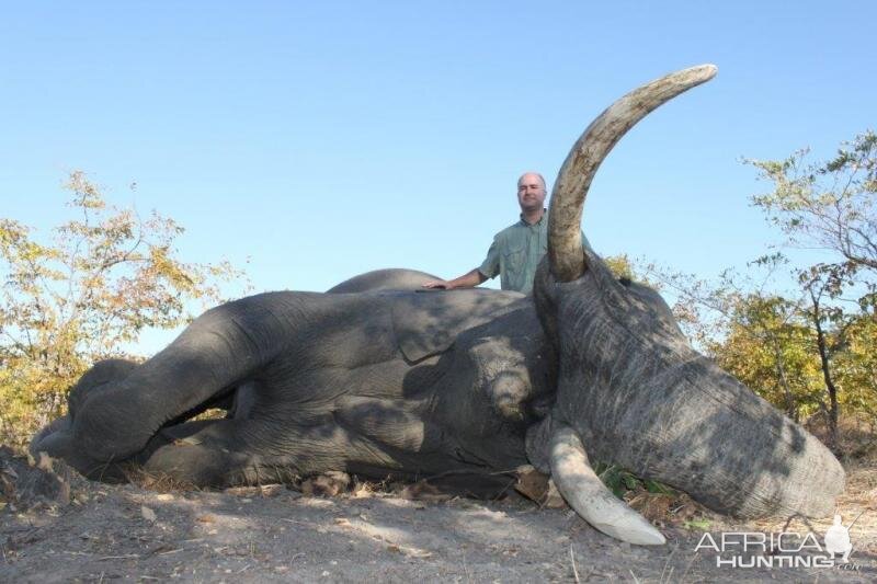 Elephant Namibia